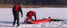 Strażacy w kombinezonach do ratownictwa wodnego przy użyciu sań lodowych podejmują osobę poszkodowaną (pozoranta) z przerębla w lodzie.