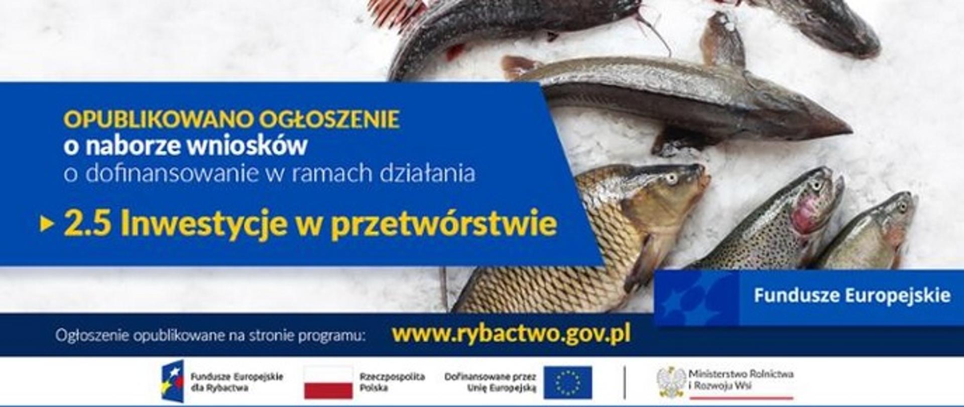 EFR 2.5 inwestycje w przetwórstwie - kwiecień 2025 r.