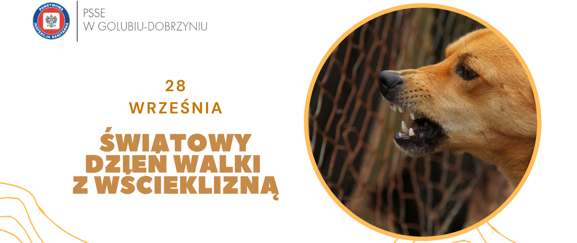 Po lewej stronie logo Powiatowej Stacji Sanitarno-Epidemiologicznej w Golubiu-Dobrzyniu oraz napis: "28 września - Światowy Dzień Walki z Wścieklizną". Po prawej stronie obrazek groźnego psa.