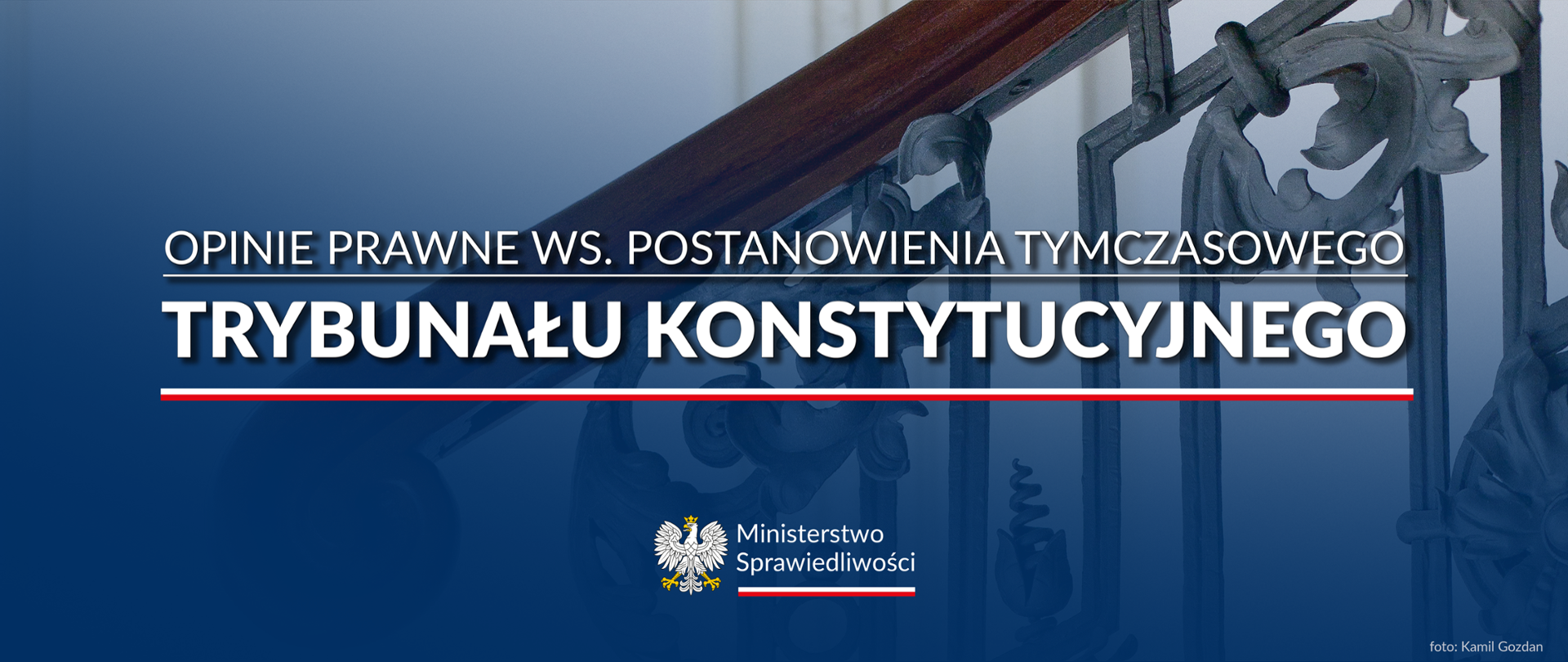 Grafika - opinie prawne