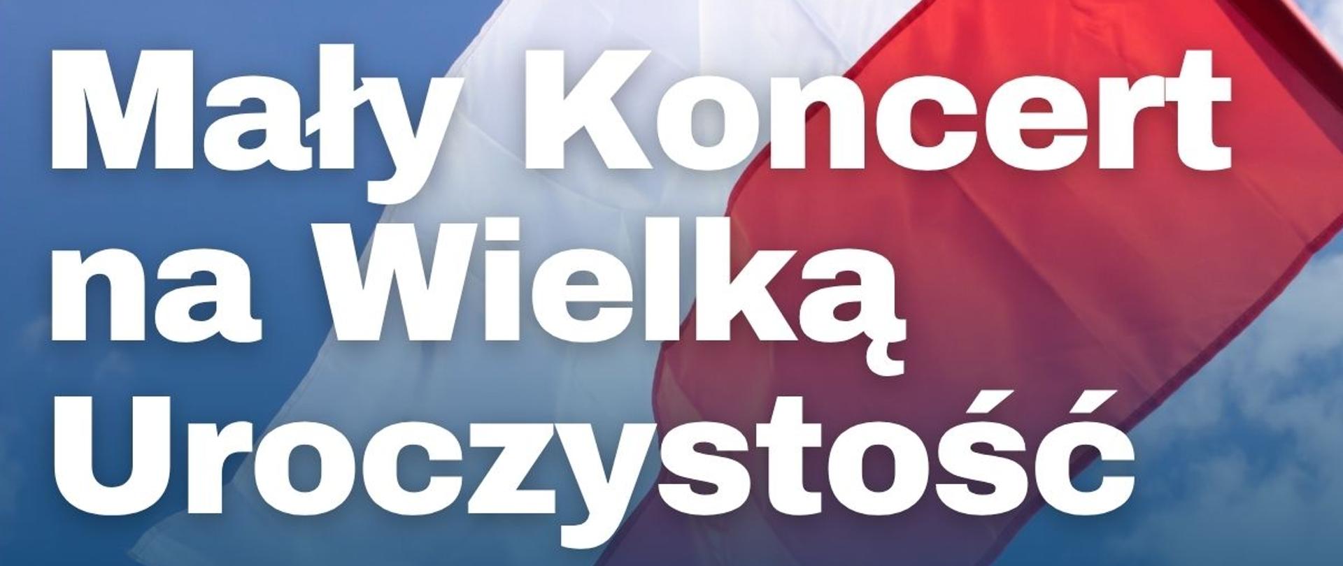 Plakat o patriotycznej stylistyce, ujęty w cienką, białą ramkę. Górną część tła stanowi zdjęcie dużej, powiewającej biało-czerwonej flagi na tle błękitnego nieba, które miękkim gradientem przechodzi w jednolity, ciemnogranatowy dół. Na zdjęciu umieszczono duży, biały tytuł oraz logo szkoły muzycznej. Część z tytułem od sekcji informacyjnej na dole oddziela minimalistyczny akcent graficzny: cienka, pozioma linia, która w lewej połowie jest biała, a w prawej czerwona. Na granatowym tle znajduje się biały tekst ze szczegółami koncertu.