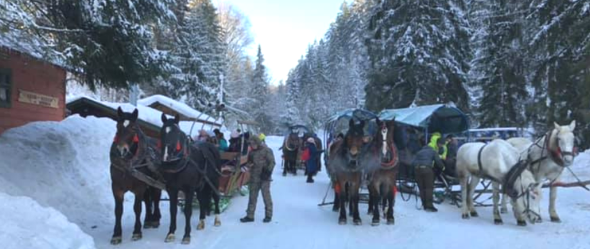  Plakat. Na białym tle znajdują się błękitne śnieżynki. W lewym górnym rogu znajduje się czarne logo PSM Zabrze. Na środku znajduje się zdjęcie zaśnieżonej drogi. Stoją na niej sanie ciągnięte przez konie, a wzdłuż widać choinki. Nad zdjęciem znajduje się napis „Zimowa wycieczka z kuligiem Zapraszamy”. Pod zdjęciem, na środku znajduje się pingwin, który w dymku mówi: Wisła, 15.02.2023 r. Na dole strony znajdują się zdjęcia dzieci na tle śniegu. 