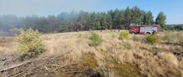 Samochód pożarniczy na palących się nieużytkach. Widać zadymienie oraz strażaków podczas akcji gaśniczej. W tle las.