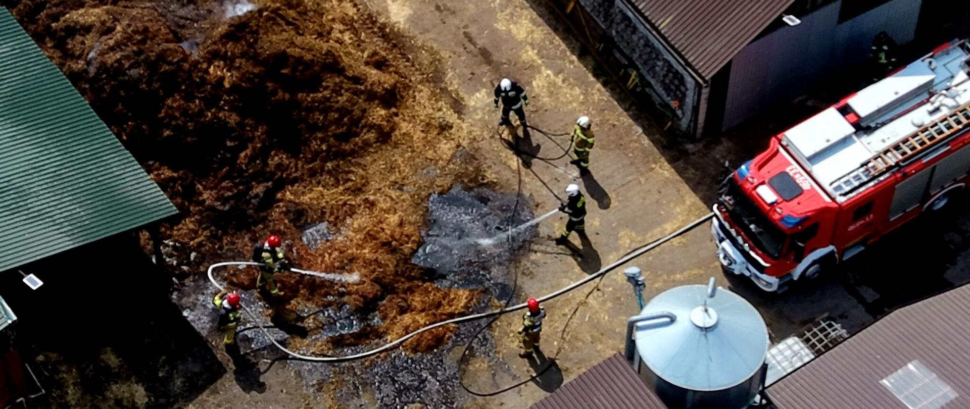 Widok z góry na akcję gaśniczą na terenie gospodarstwa. Kilku strażaków w ubraniach ochronnych gasi wodą tlącą się pryzmę materiału organicznego (prawdopodobnie słomy lub obornika). Na ziemi widoczne są ślady spalenia i dymiące miejsca. Obok stoi czerwony wóz strażacki, a w pobliżu znajdują się zabudowania gospodarcze i metalowy zbiornik. Strażacy operują liniami gaśniczymi, kierując prądy wody na źródło ognia.