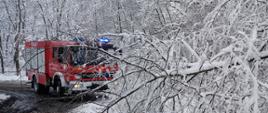 Widok ogólny na drogę. Po obu stronach ośnieżone drzewa a na drodze leży powalone drzewo. Na drugim planie za powalonym drzewem samochód ratowniczo-gaśniczy.