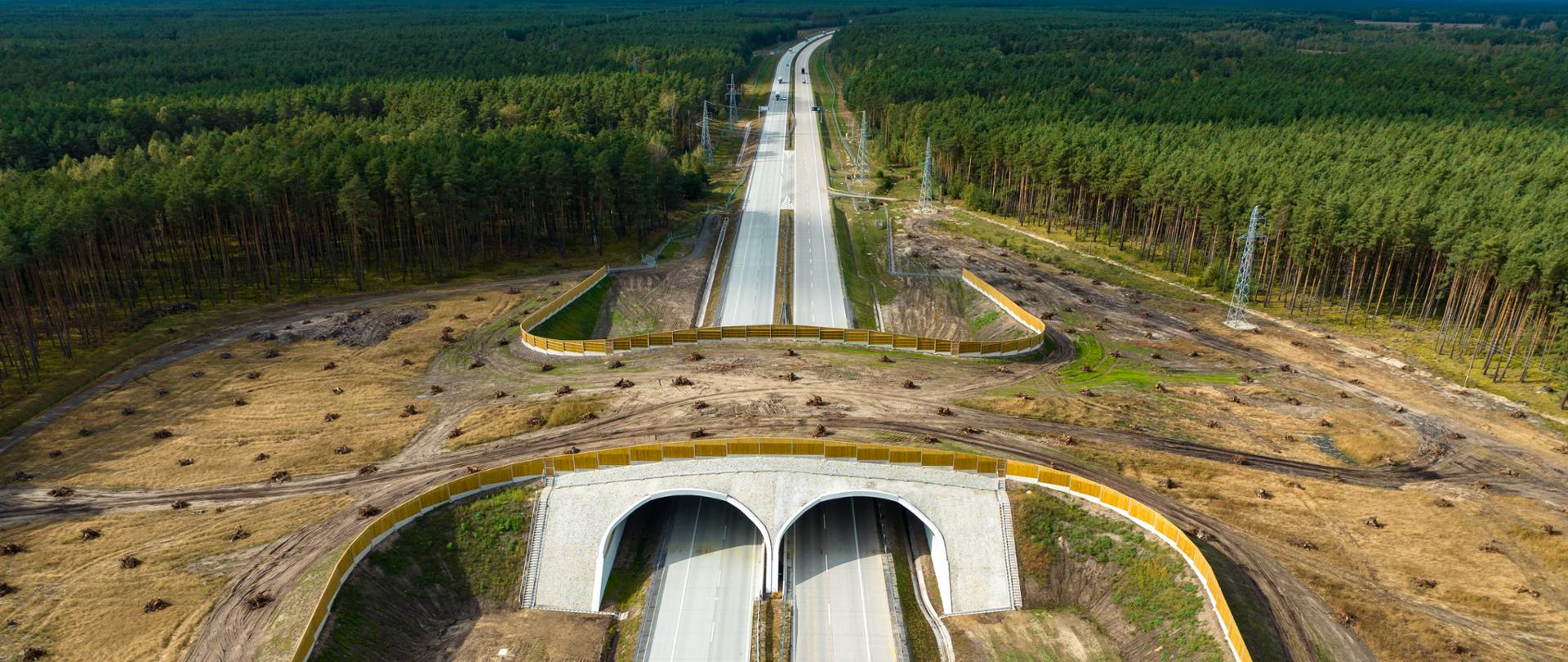 A18 odcinek 3 górne przejście dla zwierząt