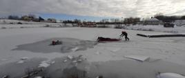 Na zdjęciu sceneria zimowa, zamarznięty akwen wodny, w przerębli w wodzie strażak w stroju ochronnym, do niego na saniach zbliża się dwóch strażaków. 