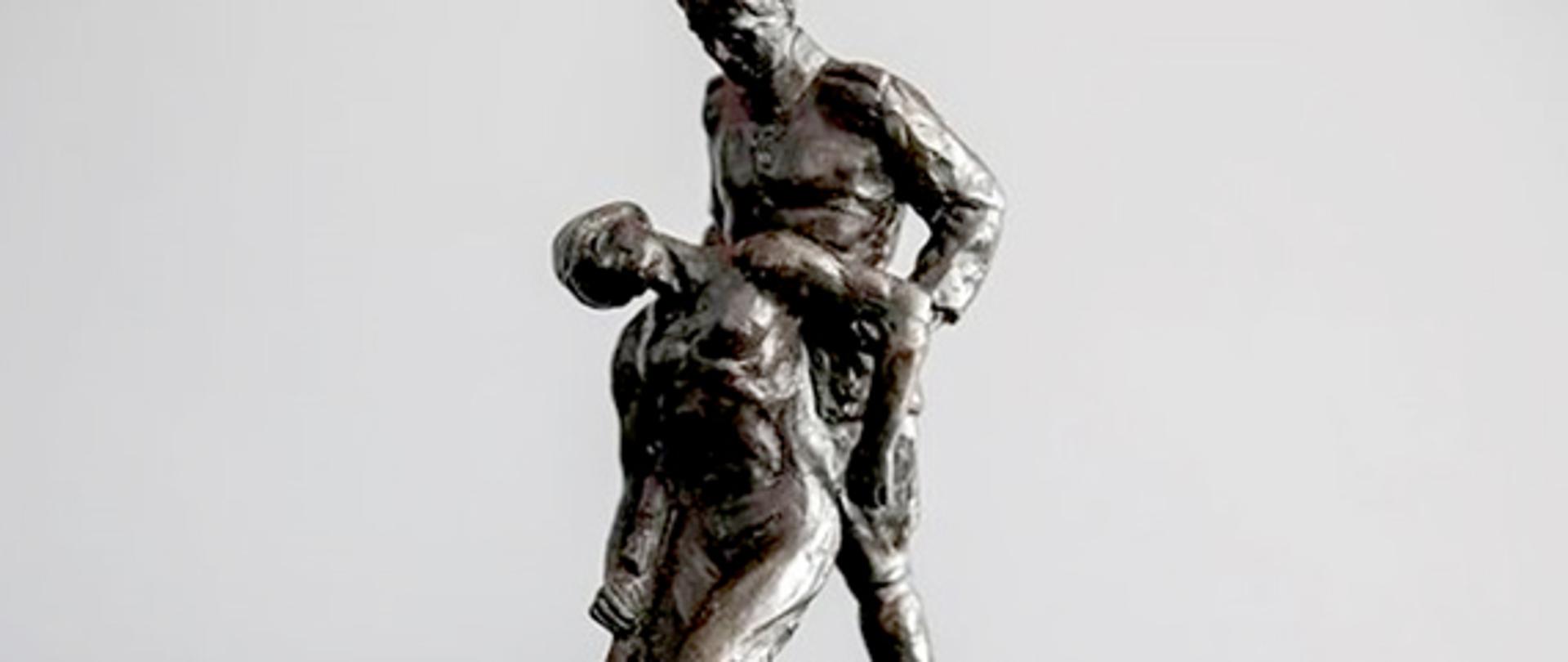 Nagrodą jest statuetka będąca miniaturą projektu „pomnika Sanitariusza”. Prace nad budową tego monumentu, upamiętniającego medyków poległych za ojczyznę – nie tylko w czasie I wojny światowej, wojny bolszewickiej w 1920 r., ale także powstań narodowowyzwoleńczych i walk w czasach napoleońskich – zainicjowano w 1927 r. Wykonanie zamówiono u prof. Edwarda Wittiga, znanego ówczesnego rzeźbiarza, autora m.in. warszawskich pomników Lotnika i Juliusza Słowackiego.