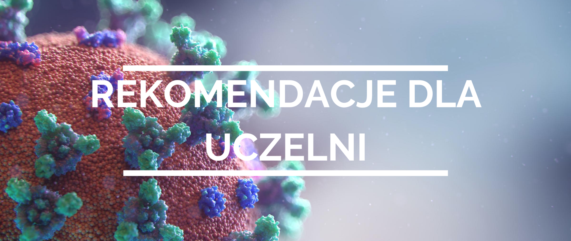 grafika z napisem 'rekomendacje dla uczelni'