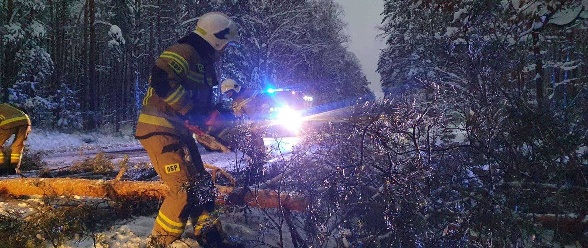 Usuwanie powalonych przez mokry śnieg drzew
