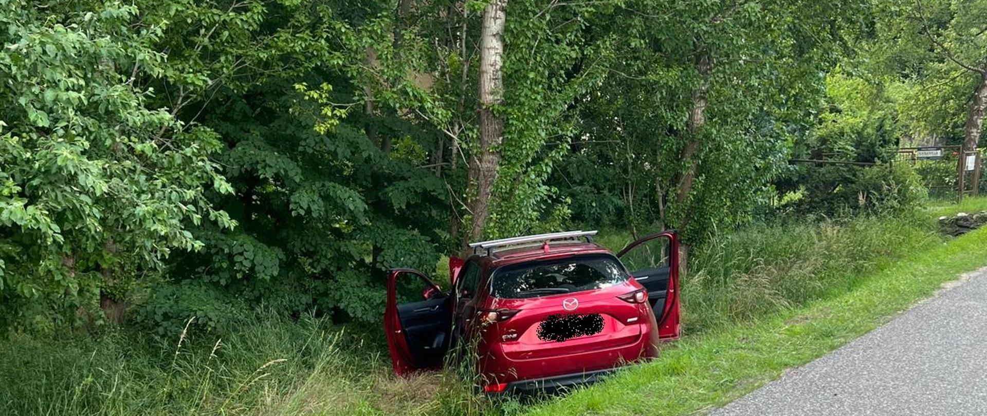 Samochód osobowy czerwony w rowie, na 1 planie widać jezdnię, dalej samochód i drzewa