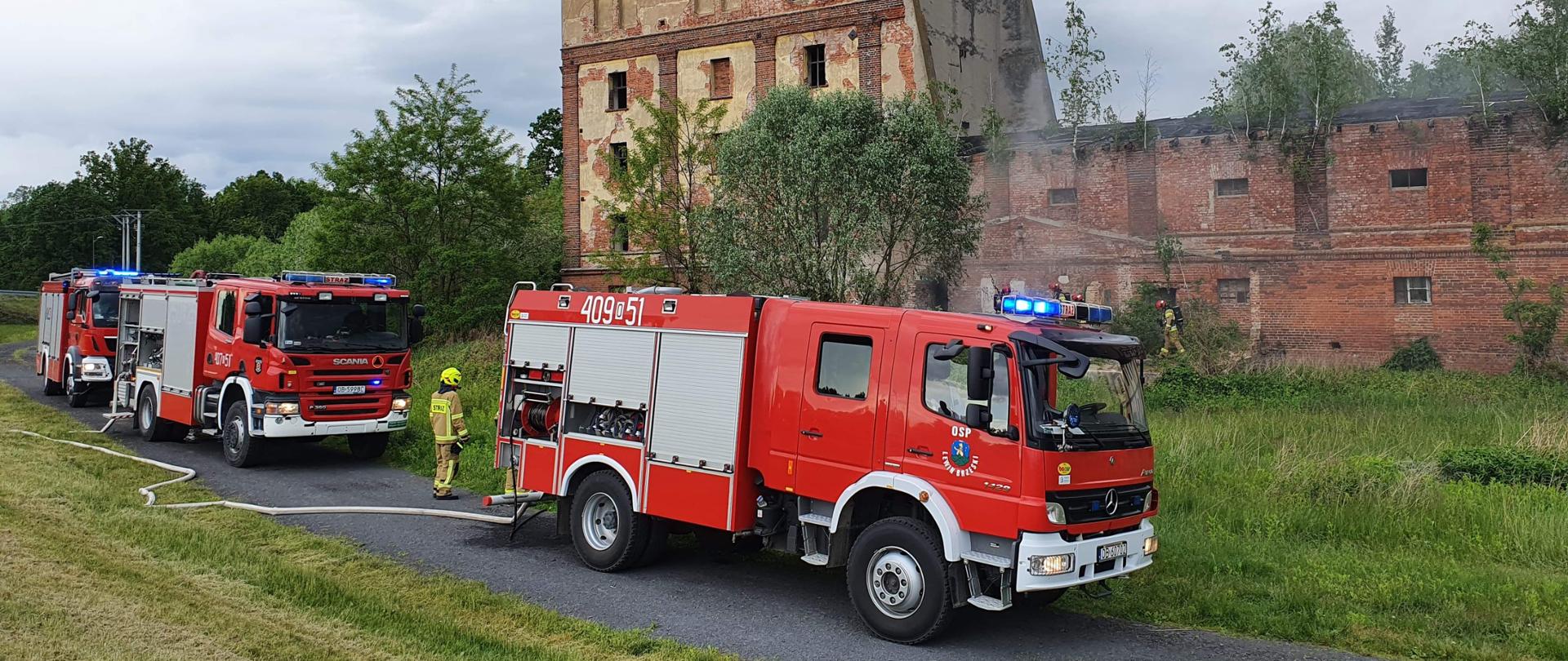 Pożar pustostanu w Lewinie Brzeskim
