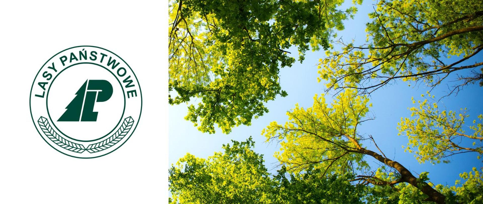 Lasy Państwowe