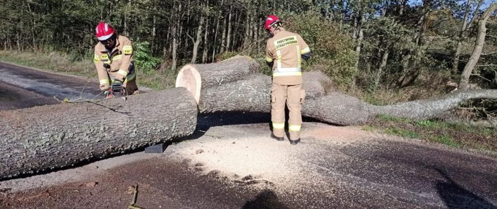 Na środku zdjęcia widać powalone drzewo. Drzewo jest już w jednym miejscu przecięte przez strażaków. Przy drzewie jest ich dwóch. Obydwaj mają czerwone hełmy i piaskowe mundury. Na jezdni pełno resztek po cięciu drzewa