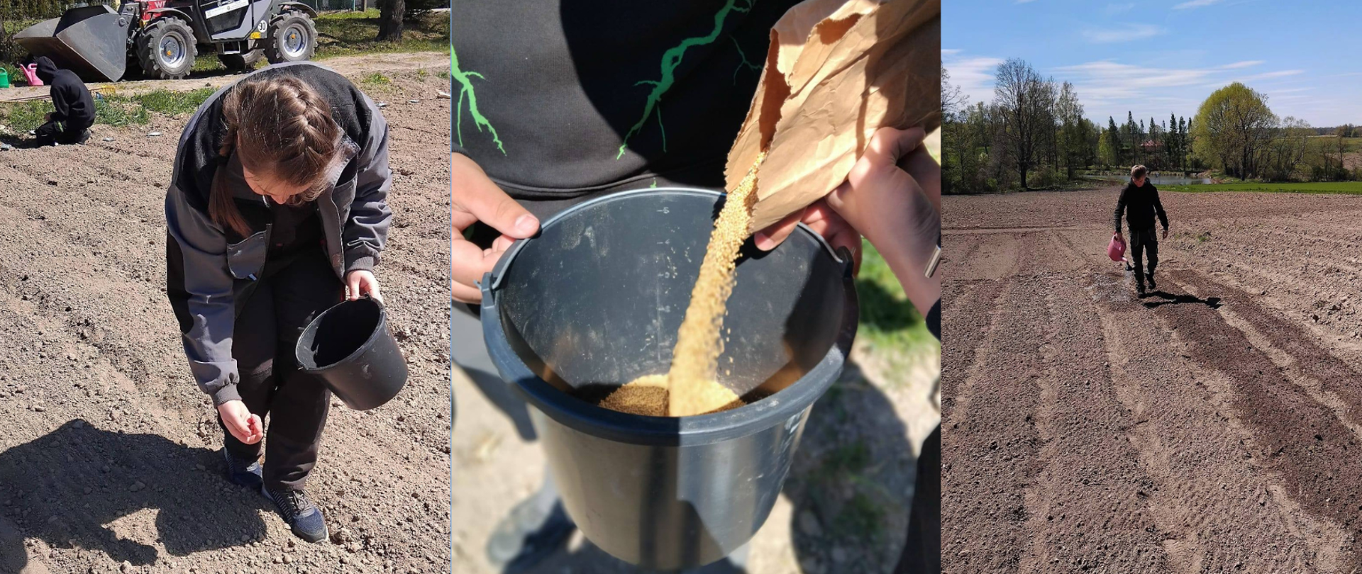 Zakładamy łąkę kwietną