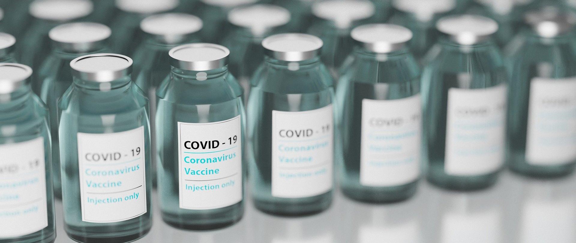 Rzędy fiolek ze szczepionką przeciwko COVID-19.