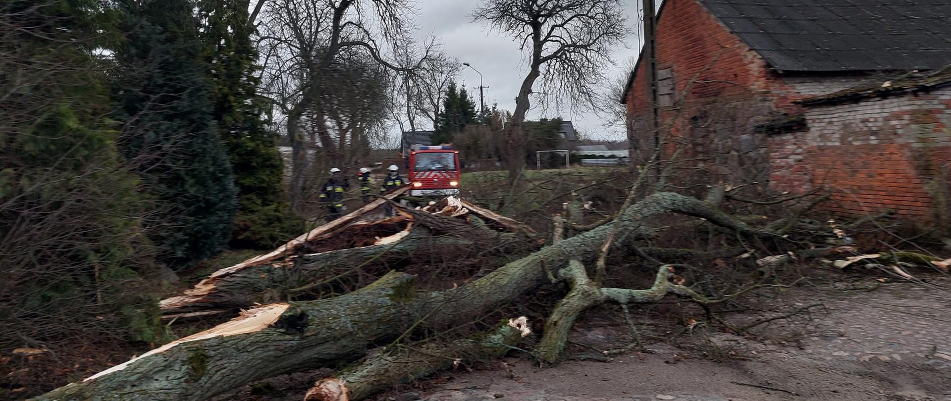 Zdjęcie przedstawia drzewo leżące na drodze, które tnie trzech strażaków. Za drzewem stoi wóz strażacki w tle są budynki mieszkalne, słupy oraz drzewa.