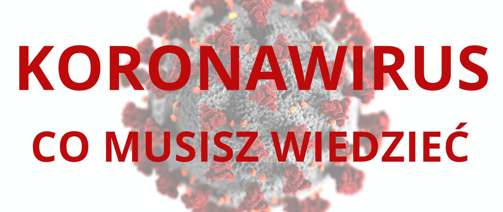 Ilustracja przedstawia duży czerwony napis Koronawirus co musisz wiedzieć. W tle jest zamglone graficzne wyobrażenie wirusa na białym tle.