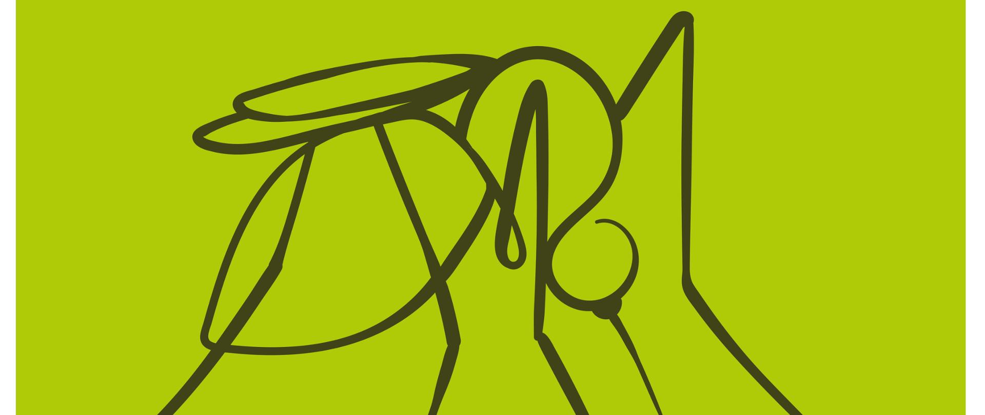 Na jasnozielonym tle zarys komara wykonany w kolorze czarnym