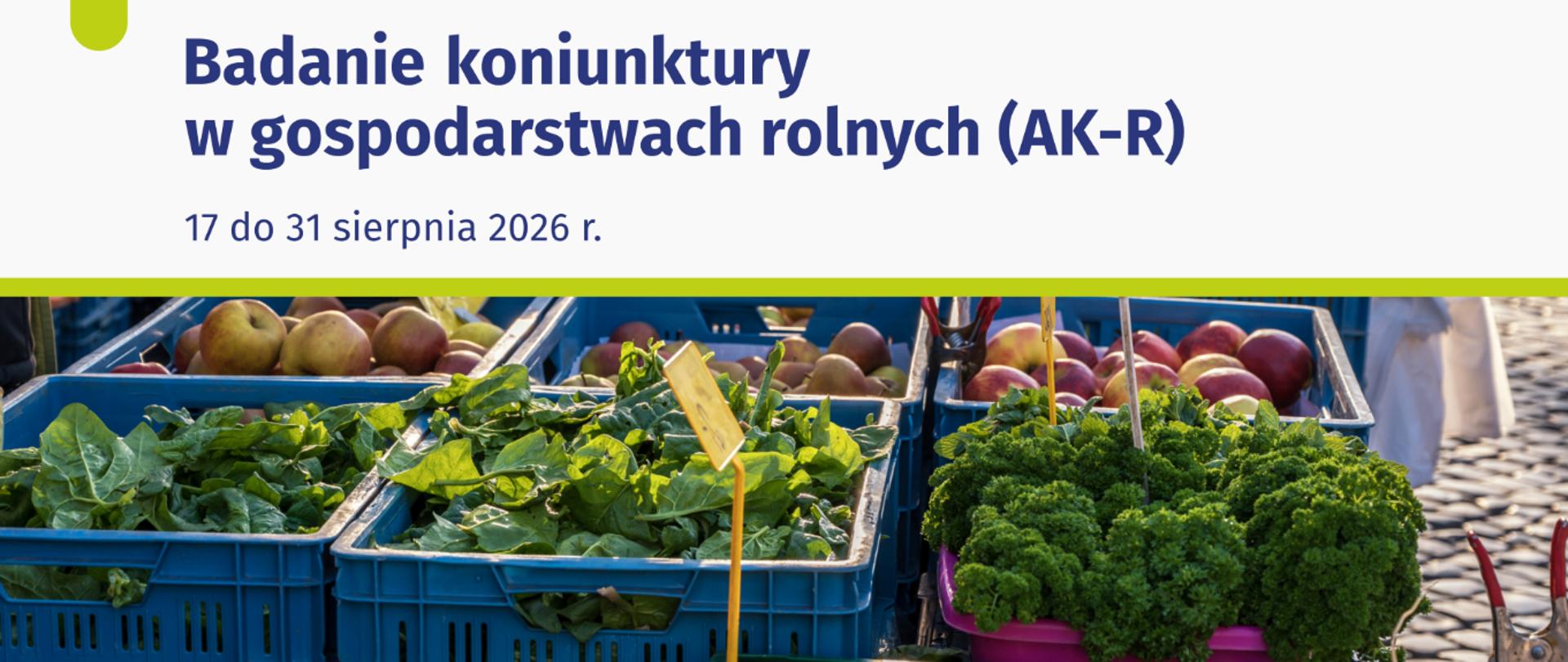 Grafika informacyjna dot. badania koniunktury w gospodarstwach rolnych, widoczna data badania, od 17 do 31 sierpnia 2026.