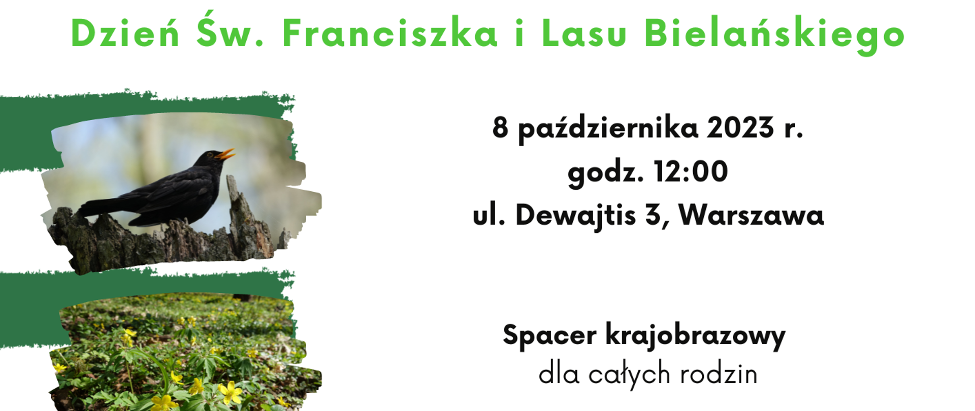Plakat z informacją o spacerze krajobrazowym ze zdjęciem kosa i kwitnącego runa lasu