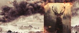 Obraz po pożarze lasu. Nad pogorzeliskiem unosi się dym. Z prawej strony czarno-białe zdjęcie przedstawiające jelenia. Obrzeża zdjęcia palą się. 