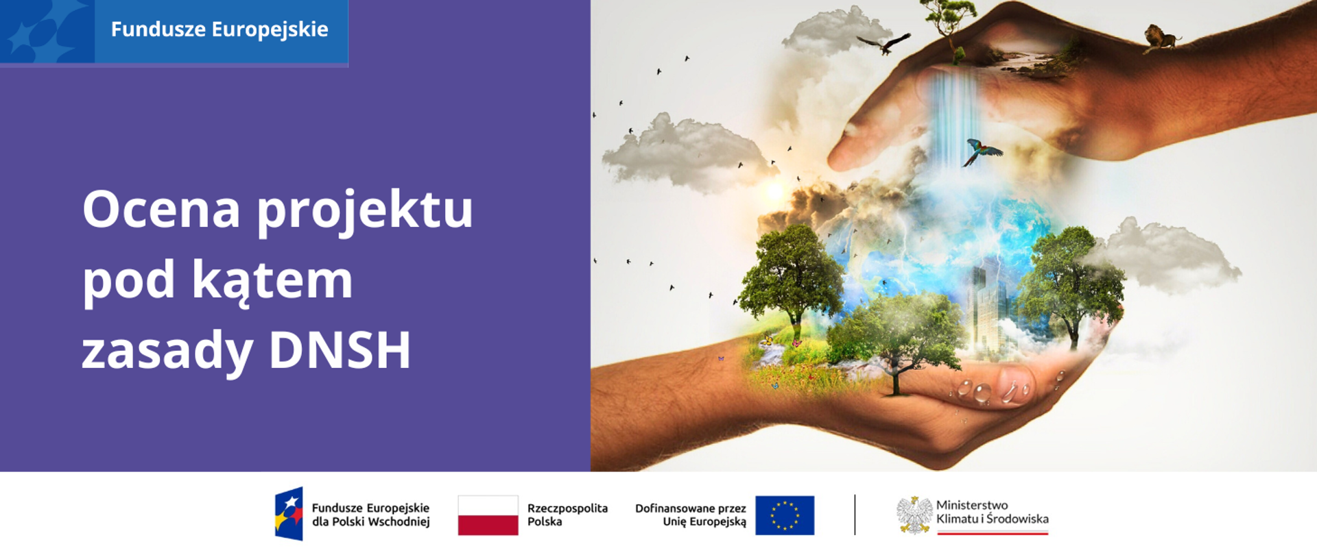 W lewej części grafiki na fioletowym tle jest biały napis: Ocena projektu pod kątem zasady DNSH. Po prawej stronie jest grafika komputerowa przestawiająca dwie dłonie – jedna nad drugą, widoczne z boku, skierowane wewnętrzną stroną do siebie. Między nimi są drapacze chmur w dużymi mieście, nad nimi błękitne i szare chmury, kilka piorunów. Po ich bokach na pierwszym planie są trzy duże liściaste drzewa. Wokół nich latają ptaki, wśród których jest orzeł i niebieska papuga ara. Przy drzewie po lewej stronie rośnie trawnik z kwiatami, wije się strumyk oraz latają motyle. Na dłoni, która jest na górze obrazka, płynie rzeka, której wody spływają do chmur nad widocznym pomiędzy rękami miastem. Na kciuku tej dłoni rośnie sosna, a po nadgarstku spaceruje lew. Dłonie są na jasnoszarym tle, koło nich znajdują się trzy szare chmury.
Na samym dole planszy jest ciąg logotypów: znaku FE, barw RP i UE. Logotyp programu FEPW jest zamieszczony w lewym górnym rogu.