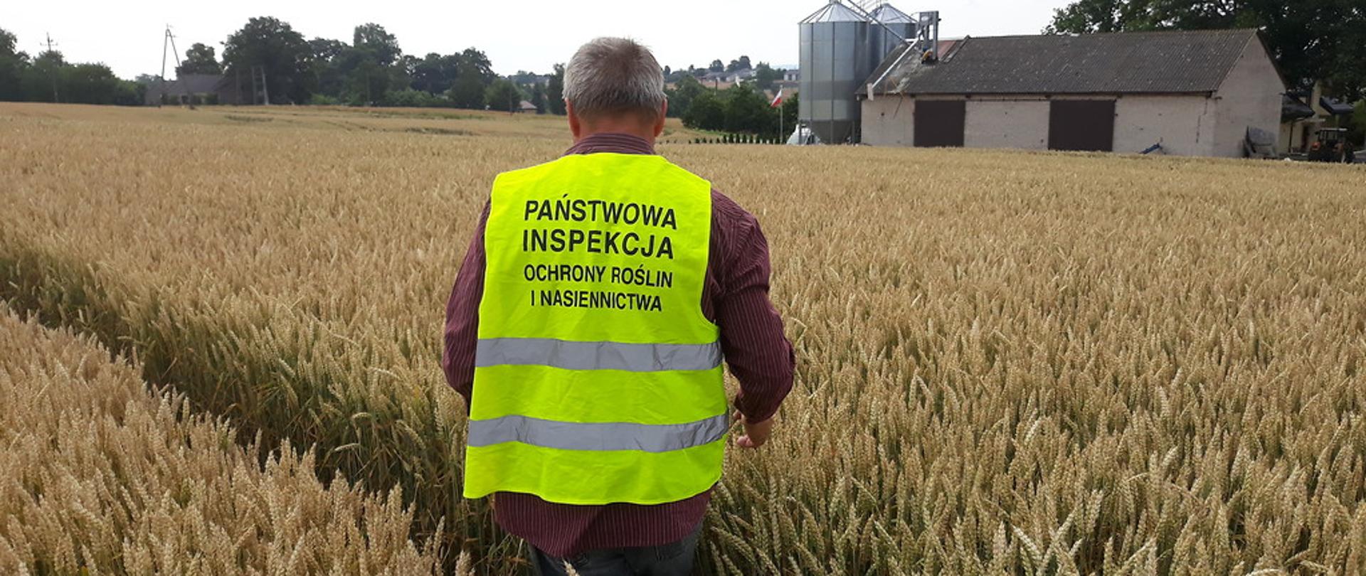 Inspektor przy pracy