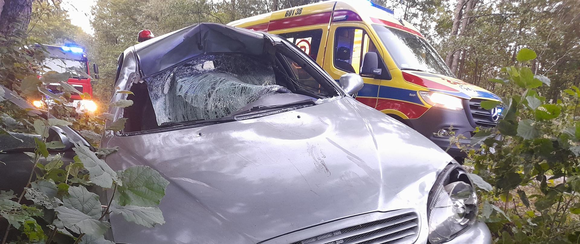 Zderzenie samochodu osobowego z łosiem w miejscowości Stójka na „Carskiej Drodze”