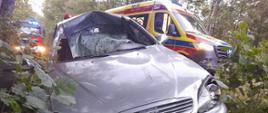 Zderzenie samochodu osobowego z łosiem w miejscowości Stójka na „Carskiej Drodze”