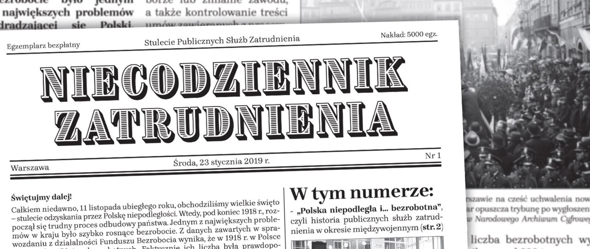 Niecodziennik Zatrudnienia
