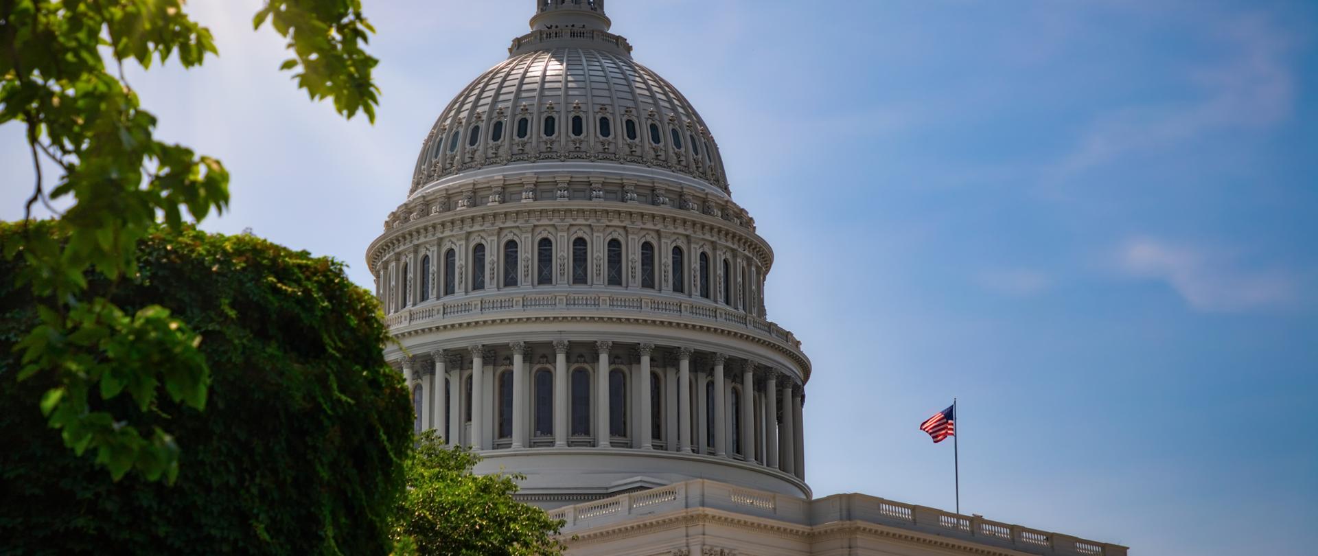 The United States Capitol Building in Washington DC on a summer day.