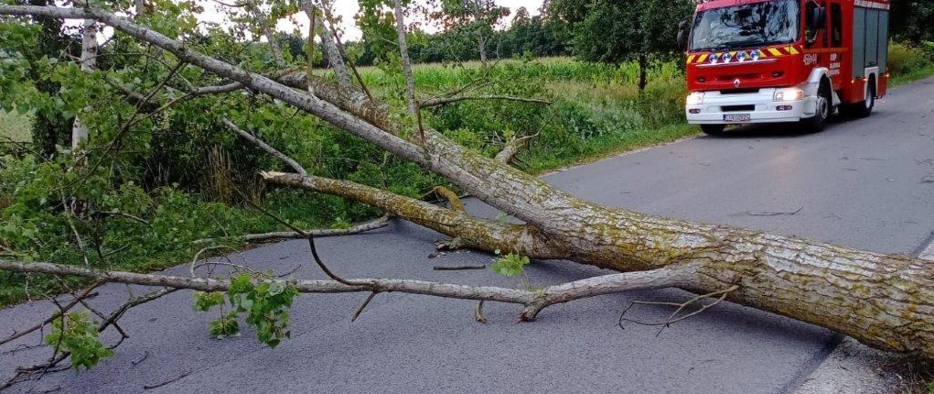 11 lipca 2024 interwencje