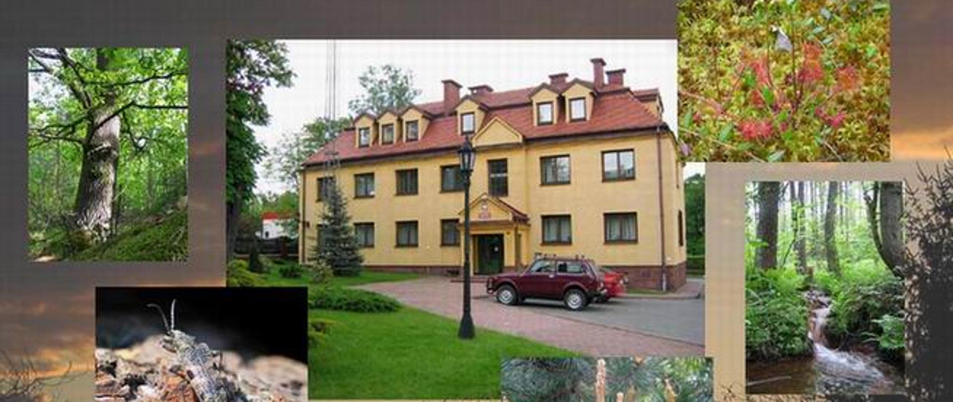 kolaż fotografii przedstawiających siedzibę Nadleśnictwa oraz różnych elementy środowiska leśnego