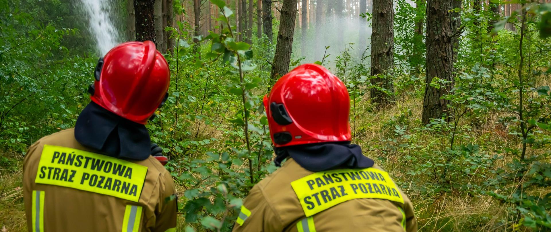 Zdjęcie przedstawia ratowników uczestniczących w ćwiczeniach.