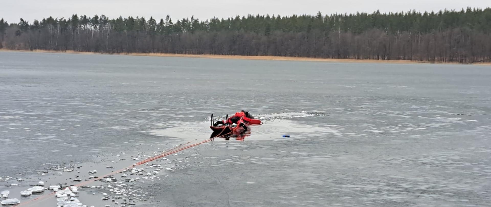 Ewakuacja psa na brzeg
