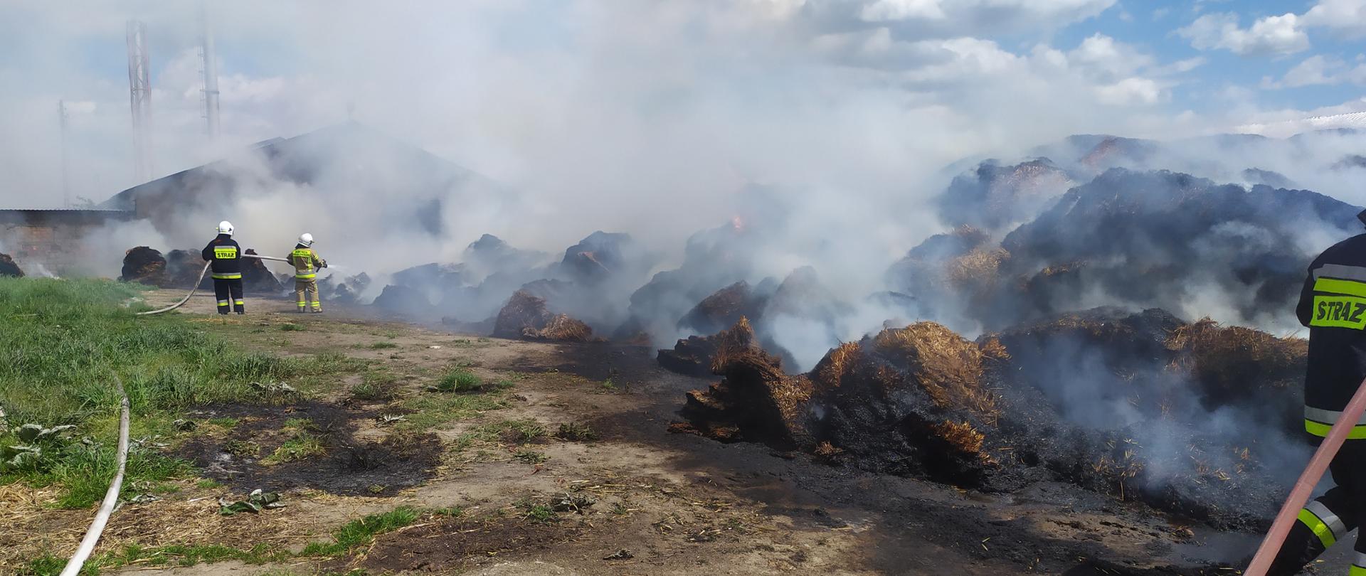 Na zdjęciu znajduje się paląca się sterta siana. W lewej części fotografii dwóch strażaków przy użyciu linii gaśniczej podaje wodę na palące się siano. Za nimi znajduje się budynek, a z niego wystają kominy. W prawej części fotografii również znajduje się strażak, podający wodę na palącą się stertę siana. 