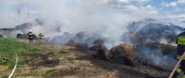 Na zdjęciu znajduje się paląca się sterta siana. W lewej części fotografii dwóch strażaków przy użyciu linii gaśniczej podaje wodę na palące się siano. Za nimi znajduje się budynek, a z niego wystają kominy. W prawej części fotografii również znajduje się strażak, podający wodę na palącą się stertę siana. 