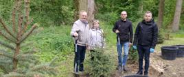 Pracownicy Oddziału podczas sadzenia drzew w Parku Miejskim w Łęczycy