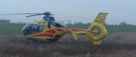 śmigłowiec żółto czerwony Lotniczego Pogotowia Ratunkowego stoi na polu w oddali widać pola oraz drzewa