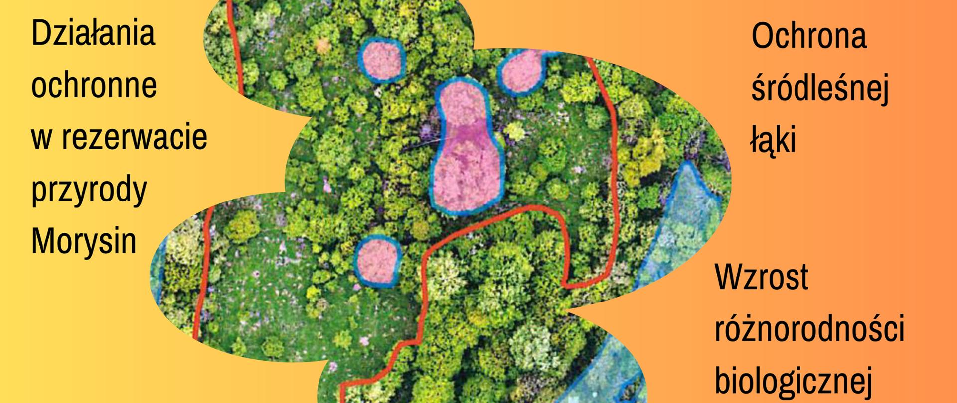 Baner z grafiką obrazującą las z lotu ptaka i hasłami dotyczącymi działań ochronnych