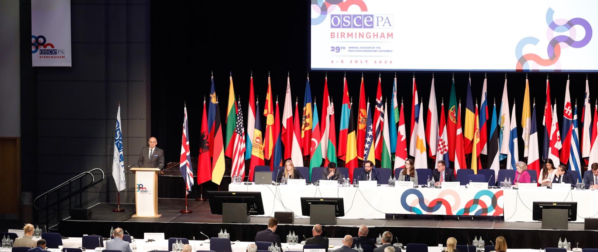 Minister Rau wziął udział w 29. Sesji Zgromadzenia Parlamentarnego OBWE