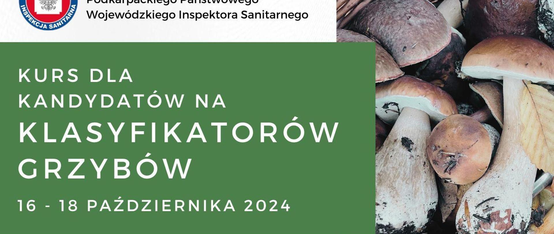 Klasyfikator Grzybów