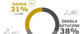 Radon 31%, źródła sztuczne 38%, pozostałe źródła naturalne 32%