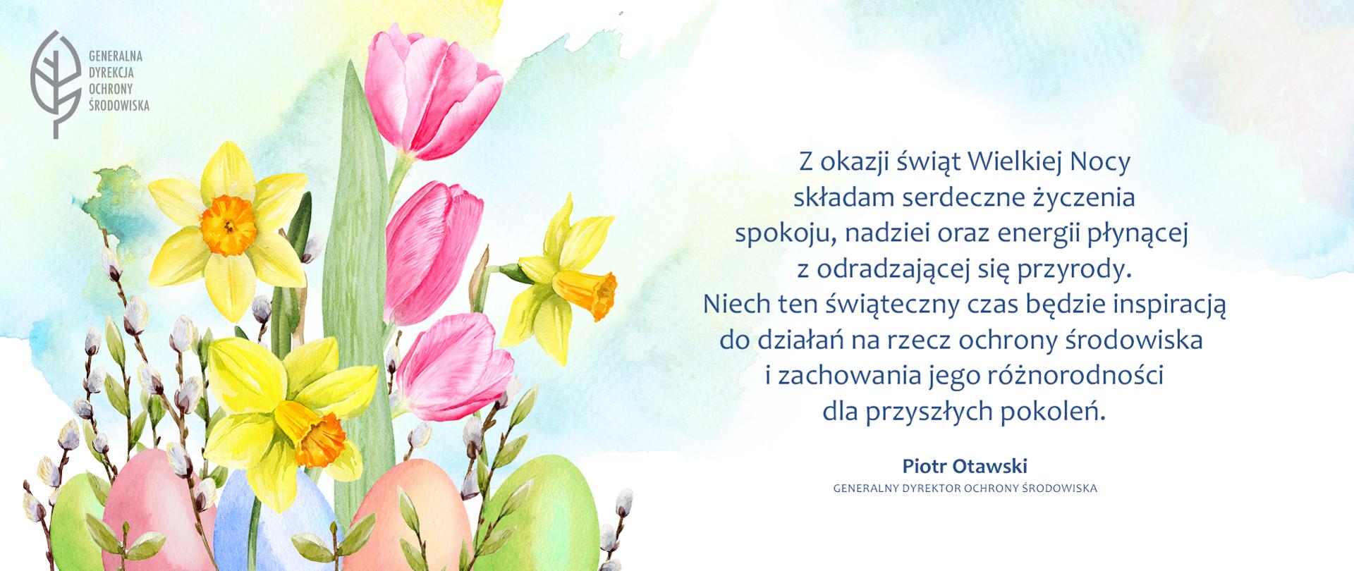 Grafika to świąteczna karta z życzeniami wielkanocnymi, utrzymana w jasnej, radosnej i wiosennej kolorystyce. Dominują tu motywy przyrodnicze oraz akwarelowy styl wykonania. Centralnym punktem są wiosenne kwiaty namalowane techniką akwareli – żółte żonkile, różowe tulipany oraz bazie (kotki) na gałązkach. U dołu kompozycji kwiatowej widoczne są kolorowe jaja wielkanocne w pastelowych barwach: różowej, niebieskiej i zielonej. Tło jest delikatne, z rozmytymi plamami błękitu, żółci i zieleni, co nadaje całości lekkości i świeżości. W lewym górnym rogu znajduje się logotyp Generalnej Dyrekcji Ochrony Środowiska (stylizowany liść). Po prawej stronie znajduje się tekst napisany ciemnoniebieską czcionką: „Z okazji świąt Wielkiej Nocy składam serdeczne życzenia spokoju, nadziei oraz energii płynącej z odradzającej się przyrody. Niech ten świąteczny czas będzie inspiracją do działań na rzecz ochrony środowiska i zachowania jego różnorodności dla przyszłych pokoleń.” Piotr Otawski - Generalny Dyrektor Ochrony Środowiska