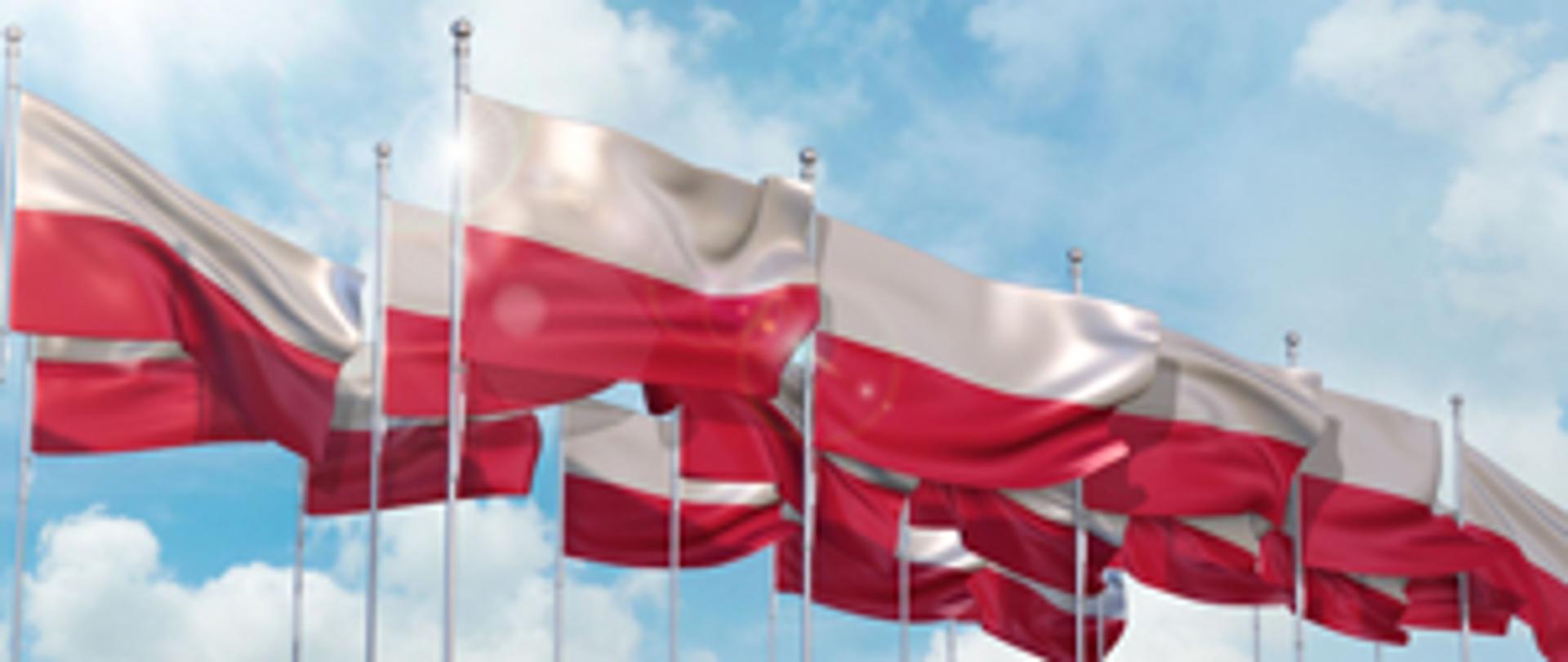 Poljska--banner-300-x-250