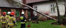Po lewej stronie stoją strażacy. Na drugim planie pośrodku drzewo zwalone na budynek mieszkalny.