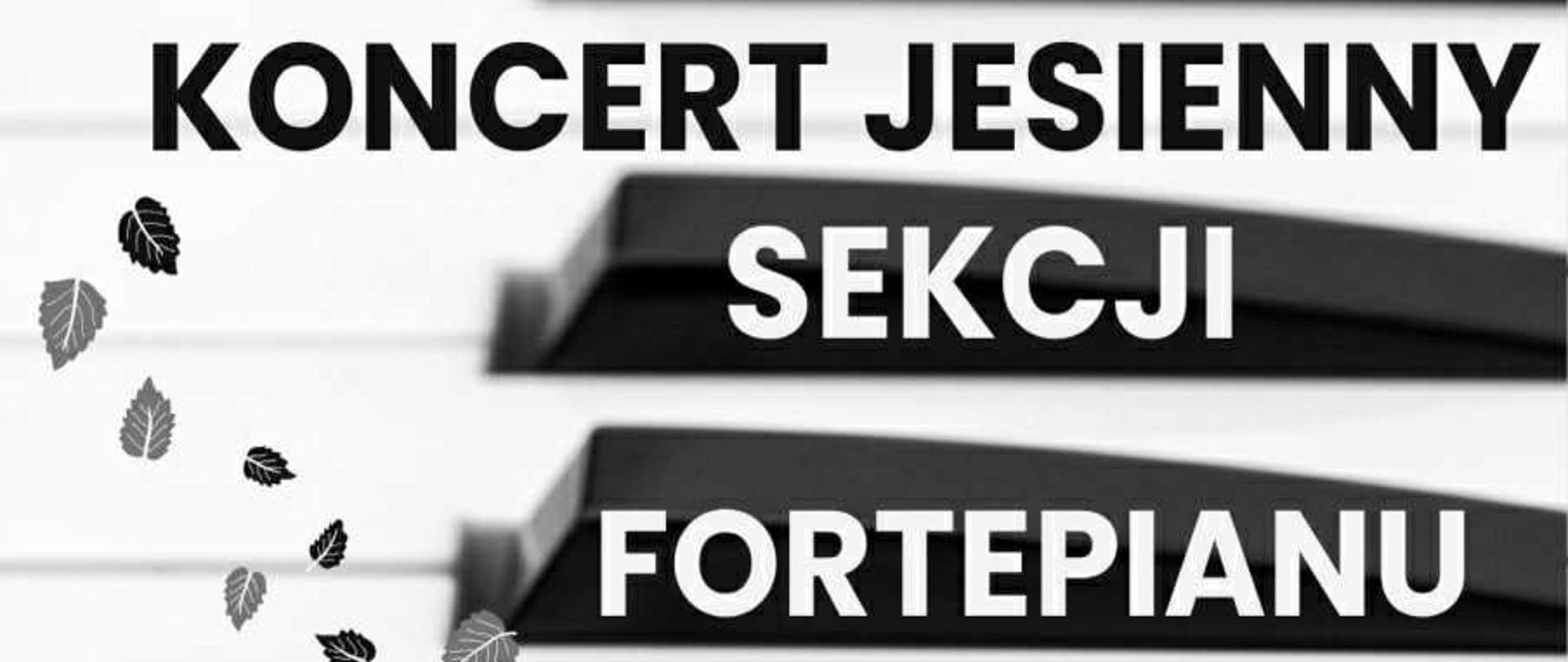 Koncert Jesienny Sekcji Fortepianu - 18 listopada 2025, sala koncertowa PSM II piętro, godz. 17.00
