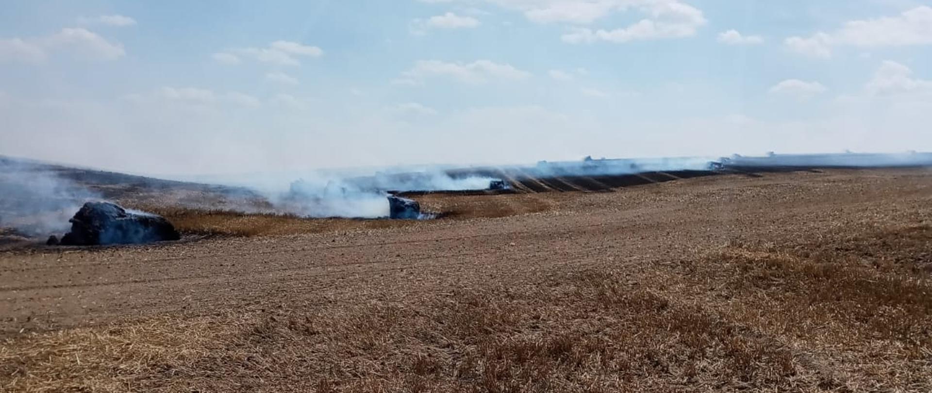 Zdjęcie przedstawia pogorzelisko po pożarze ścierniska. W oddali widać dymiące się snopki słomy.
