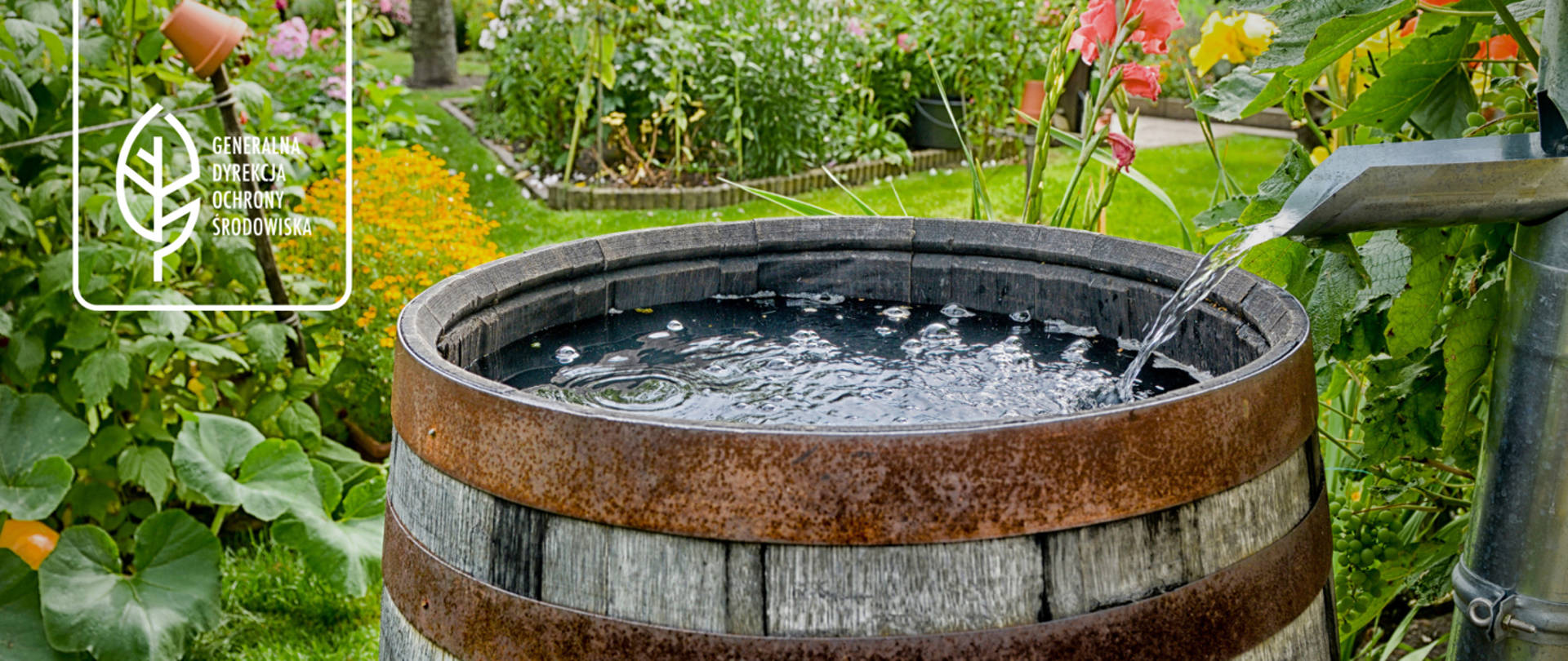 Ogród, w tle kolorowe kwiaty i zielone liście. Na pierwszym planie duża drewniana beczka , która stoi przy rynnie. Do beczki z rynny ścieka woda.